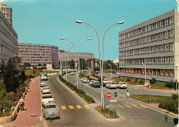 Delcampe - 95* ARGENTEUIL  Rue De Coudray  (CPM 10x15cm)     RL19,0770 - Argenteuil