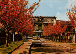 Delcampe - 92* VANVES   La Mairie    (CPM 10x15cm)    RL19,0504 - Vanves