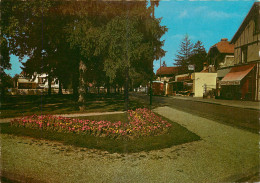 Delcampe - 91* MORSANG S/ORGE  Place Des Tilleuls    (CPSM 10x15cm)    RL19,0467 - Morsang Sur Orge