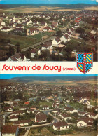 Delcampe - 89* SOUCY  Lotissements  « les Ormeaux » « la Renaissance » (CPM 10x15cm)   RL19,0395 - Soucy