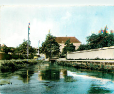 Delcampe - 89* AILLANT S/THOLON Les Bords Du Tholon  (CPSM 10x15cm)    RL19,0377 - Aillant Sur Tholon