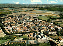 Delcampe - 89* COULANGE LA VINEUSE  Vue Generale   (CPSM 10x15cm)     RL19,0388 - Coulanges La Vineuse