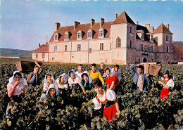 Delcampe - 89* BOURGOGNE  Vendange Au « clos Vougeot »  (CPSM 10x15cm)    RL19,0352 - Weinberge