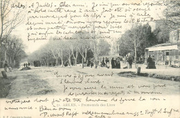 Delcampe - 13* ARLES Promenade Des Lices    RL19,1515 - Arles