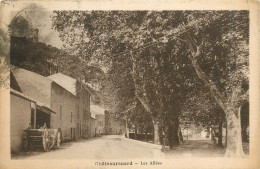 Delcampe - 13* CHATEAURENARD Les Allees     RL19,1488 - Chateaurenard