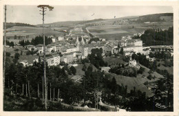 Delcampe - 07* LA LOUVESC  Vue Generale   (CPSM 9x14cm)     RL19,1352 - La Louvesc