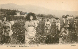 Delcampe - 06* GRASSE Cueillette Du Jasmin      RL19,1200 - Grasse