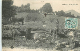 Delcampe - 03* AUVERGNE  Un Coin Champetre        RL19,1038 - Elevage