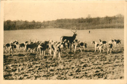 Delcampe - 02* VILLERS COTTERETS  Equipage « menier » Hallali  A Baron    RL19,1010 - Jagd