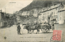 Delcampe - 15* MURAT Place De L Hotel De Ville  - Attelage   RL30,0160 - Murat