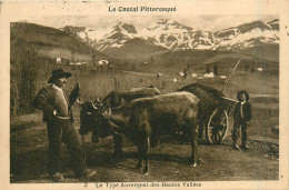Delcampe - 15* AUVERGNE     Auvergnat Des Hautes Vallees - Attelage  RL30,0156 - Wagengespanne