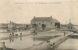Delcampe - 14* COURSEULLES S/MER    Les Parcs Aux Huitres    RL30,0065 - Courseulles-sur-Mer