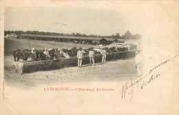 Delcampe - 16* LA BRACONNE  Abreuvoir Des Ecuries      RL19,1854 - Kasernen