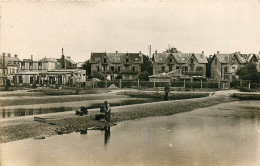 Delcampe - 14* COURSEULLES S/MER Parcs Aux Huitres  (CPSM 9x14cm)     RL19,1646 - Courseulles-sur-Mer