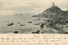 Delcampe - 20* AJACCIO  Iles Sanguinaires      RL30,0748 - Ajaccio
