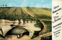 Delcampe - 18* ARCHAMBAULT  Caves Du « clos La Perriere» (CPSM 9x14cm)    RL30,0626 - Andere & Zonder Classificatie
