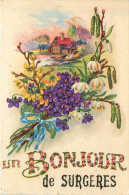 Delcampe - 17* SURGERES  « souvenir»      RL30,0594 - Surgères