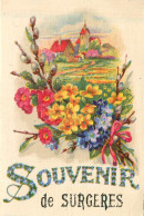 Delcampe - 17* SURGERES  « souvenir»      RL30,0593 - Surgères