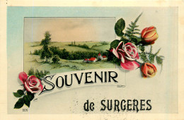 Delcampe - 17* SURGERES  « souvenir»      RL30,0595 - Surgères