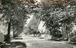 Delcampe - 23* GOUZON  Villas Route De Montlucon   (CPSM 9x14cm)   RL30,1268 - Guéret