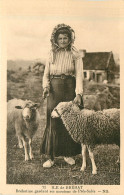 Delcampe - 22* ILE DE BREHAT  Brehatine Gardant Ses Moutons De Pre Sale       RL30,1260 - Ile De Bréhat
