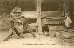 Delcampe - 21* BOURGOGNE  Vendanges - Vieux Pressois       RL30,0847 - Weinberge