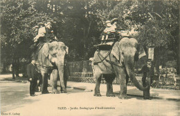 Delcampe - 75* PARIS  Jardin Zoologique  Acclimatation – Promenade A Elephants  RL38.0490 - Paris (05)