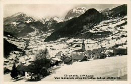 Delcampe - 74* CHATEL Vue Generale    RL38.0382 - Châtel