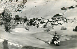 Delcampe - 74* LA CLUSAZ  Le Bossonet (CPSM Format 9x14cm)   RL38.0370 - La Clusaz