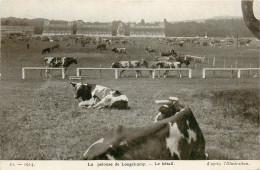Delcampe - 75* PARIS Longchamp -   La Pelouse – Le Betail   RL38.0711 - Paris (16)