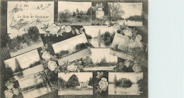 Delcampe - 75* PARIS Bois De Boulogne  -multi Vues      RL38.0719 - Paris (16)