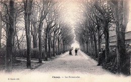 Delcampe - 02* CHAUNY  Les Promenades       RL46,0147 - Chauny