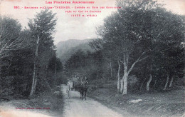 Delcampe - 09* AX LES THERMES  Entree Bois Des   Gouttines      RL46,0601 - Ax Les Thermes