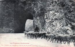 Delcampe - 09* KERCABANAC  (st Girons – Aulus) Tunnel -  Troupeau Moutons      RL46,0595 - Elevage