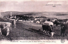 Delcampe - 07* ST AGREVE  Vue Generale        RL46,0535 - Saint Agrève