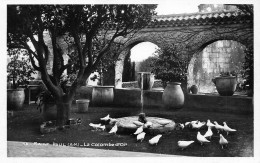 Delcampe - 06* ST PAUL La Colombe D Or        RL46,0486 - Saint-Paul