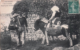 Delcampe - 17* ILE DE RE  Ane En Culotte  - Depart Pour La Peche      RL46,1223 - Autres & Non Classés