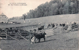 Delcampe - 15* CANTAL  Une Vacherie A La Montagne        RL46,1084 - Elevage