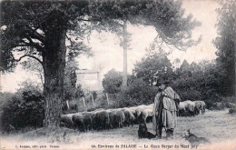 Delcampe - 14* FALAISE  Vieux Berger Au Mont Joly      RL46,1042 - Elevage