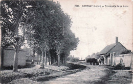 Delcampe - 45* ARTENAY  Promenade De La Lune RL60,0230 - Artenay
