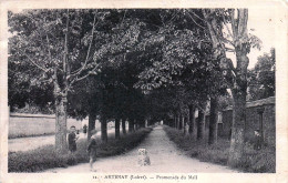 Delcampe - 45* ARTENAY   Promenade Du Mail    RL60,0213 - Artenay