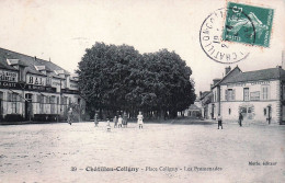 Delcampe - 45* CHATILLON COLIGNY  Place Coligny – Les Promenades   RL60,0088 - Chatillon Coligny