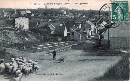 Delcampe - 45* CHATILLON COLIGNY Vue Generale  – Moutons   RL60,0094 - Chatillon Coligny