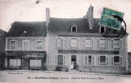 Delcampe - 45* CHATILLON COLIGNY   Hotel Et  Cafe Du Cheval Blanc  RL60,0084 - Chatillon Coligny