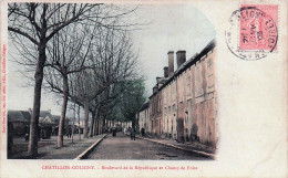 Delcampe - 45* CHATILLON COLIGNY  Bd De La Republique Et Champ De Foire   RL60,0083 - Chatillon Coligny