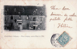 Delcampe - 45* CHATILLON COLIGNY  Place Coligny – Ancien Hotel De Ville  RL60,0080 - Chatillon Coligny