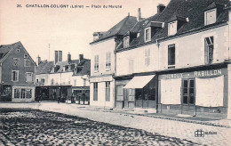 Delcampe - 45* CHATILLON COLIGNY  Place Du Marche    RL60,0057 - Chatillon Coligny
