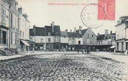 Delcampe - 45* CHATILLON COLIGNY   Place Du Marche  RL60,0072 - Chatillon Coligny