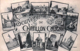 Delcampe - 45* CHATILLON COLIGNY  « souvenir »  Multi Vues   RL60,0075 - Chatillon Coligny