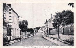 Delcampe - 45* CHATILLON COLIGNY  Faubourg De Montargis   RL60,0059 - Chatillon Coligny